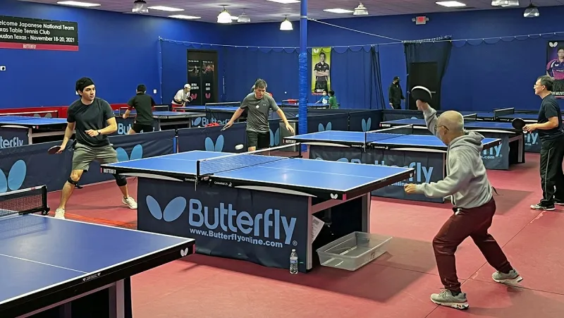 Table Tennis Club Lifestyle