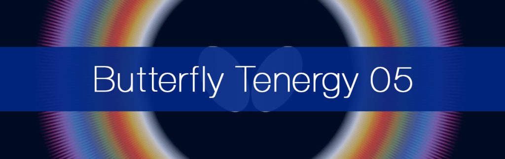 Butterfly Tenergy 05 Review
