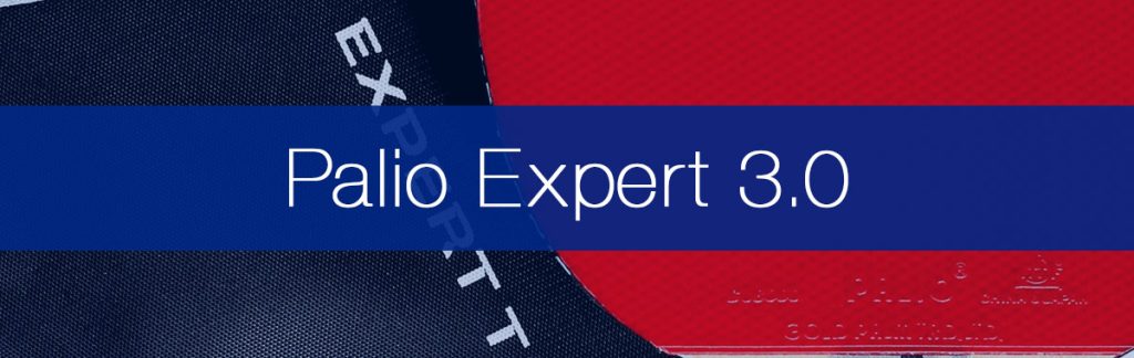 Palio Expert 3.0 Review