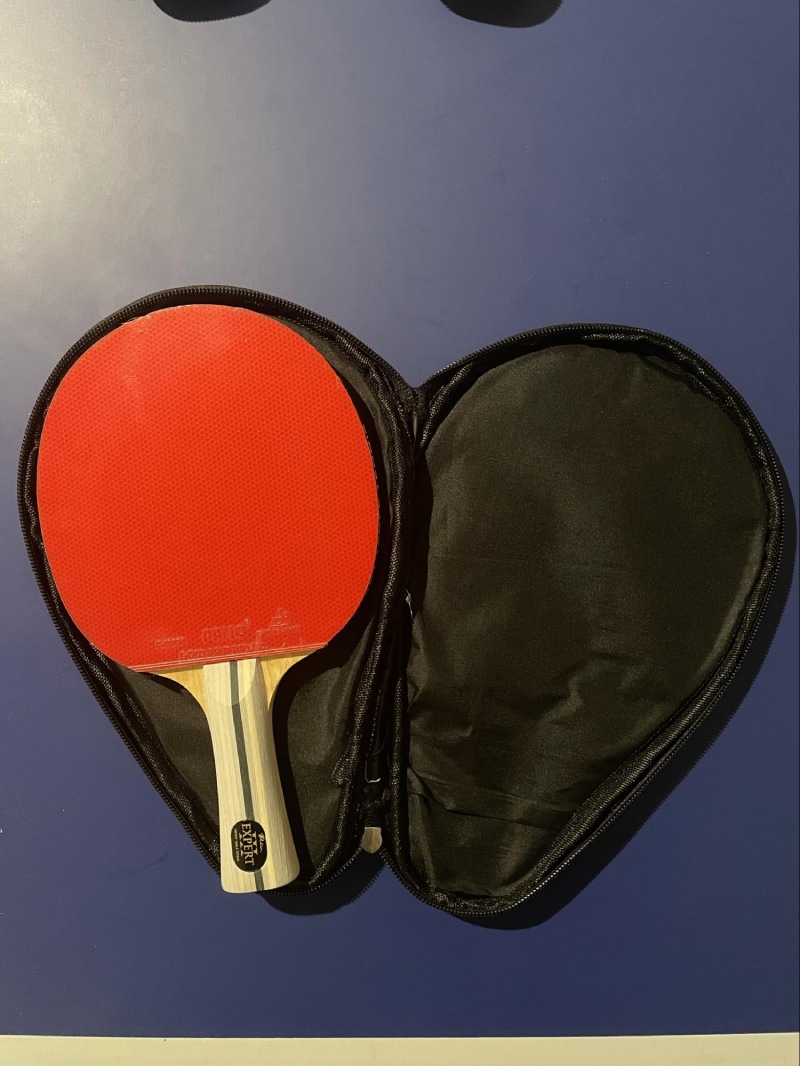 Palio Expert 3.0 Review by a Qualified Coach • Racket Insight