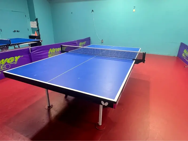 Butterfly Space Saver 22 Playing Experience & Surface Quality